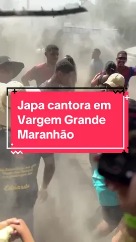 Japa cantora em Vargem Grande Maranhão 