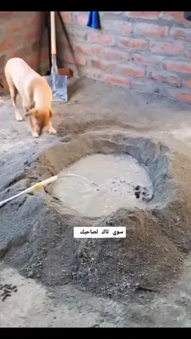 #شعب_الصيني_ماله_حل #العراق #الحسينيه 