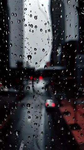 Rainy Window 🌧️ #livewallpaper #wallpaper #4klivewallpaper #4kvideo #rainy 