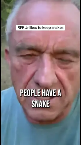 RFK Jr is the keeper of snakes #fyp #rfkjr #snakes #impressions #skit 