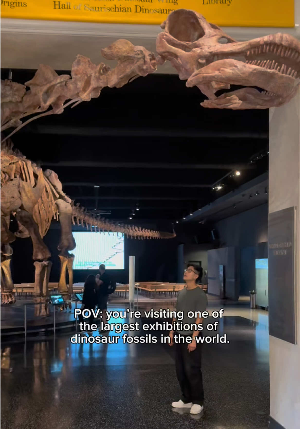 There are about 100 specimens in the Museum’s dinosaur wing—and 85 percent of them are real fossils, rather than casts. 🦕 🦖 😚 🦴 And yes, we know pterosaurs aren’t dinosaurs. But you can find this artwork, and many other pieces, on Floor 4! #dinosaur #paleontology #prehistoric #museum #nyc 