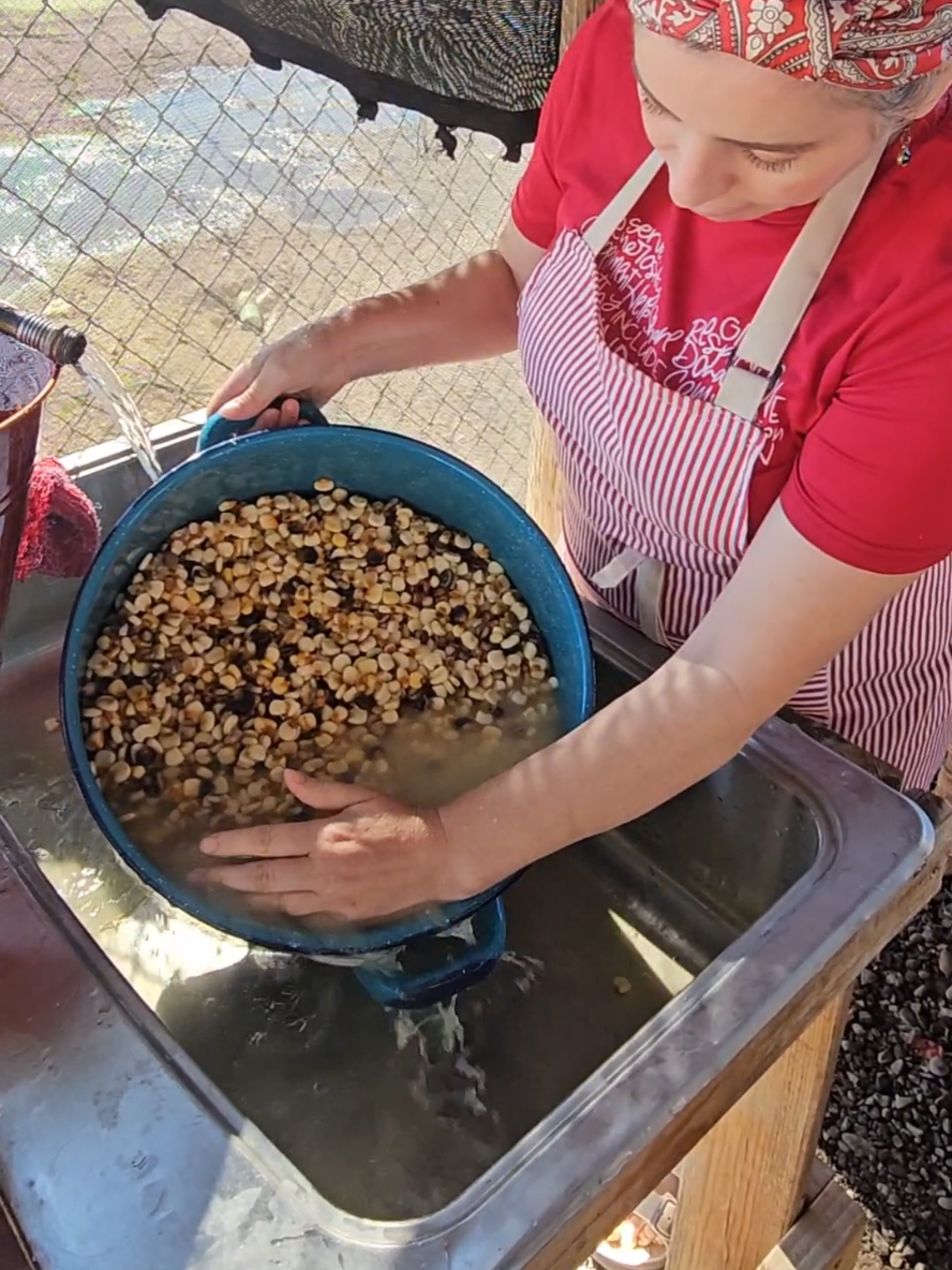 Tortillas de maíz, nixtamal para Tortillas #tortillas #molinoparanixtanal #tortillasamano #tips #food 