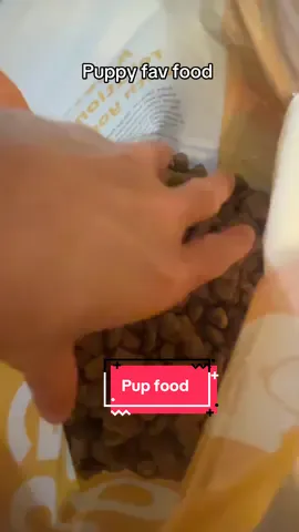 #puppyfood #puppylove #puppylife #puppytreats #dogsoftiktok          