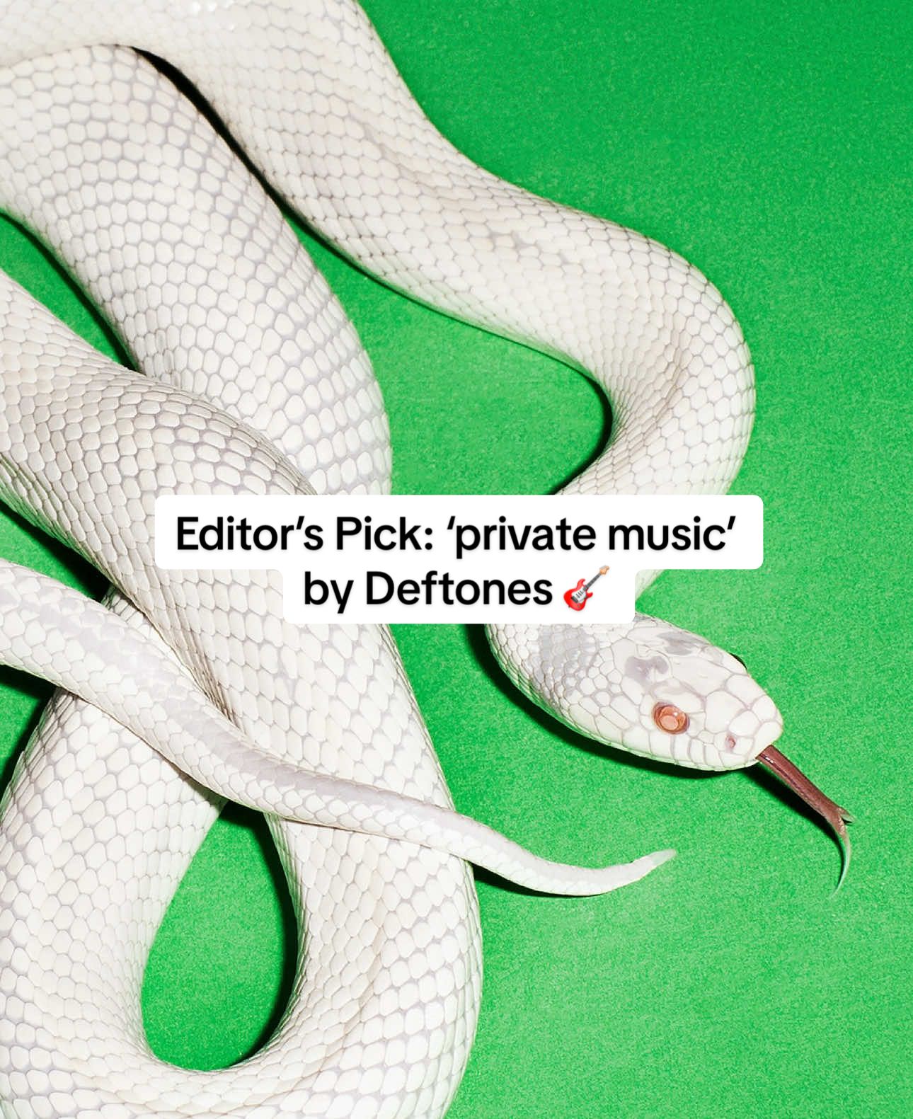If you aren’t a Deftones fan, it’s time to become one 🎸 Billboard’s Editor’s Pick for the week is ‘private music’ by Deftones 🎧✨ #deftones #rock #rockmusic #music #newmusic #privatemusic #billboard 