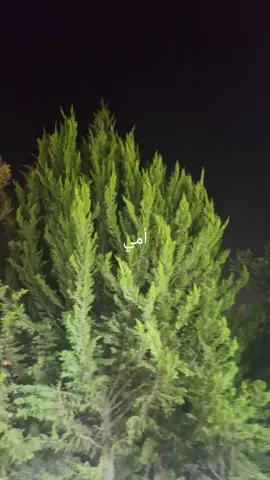 #أمي 