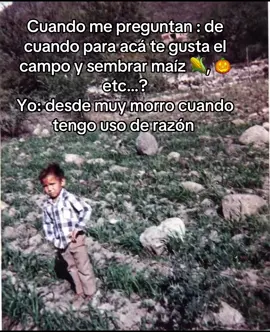 Cuando me preguntan : de cuando para acá te gusta el campo y sembrar maíz 🌽, 🎃 etc…? Yo: desde muy morro cuando tengo uso de razón 