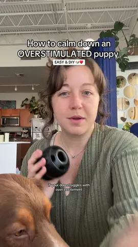 DONT SLEEP ON THIS 👏🏼 I recommend it to everyone, lmk if you have Qs on it! #pupsicle #dogtrainingtips #calmpuppy #howtotrainmypuppy #beginnerdogtraining 