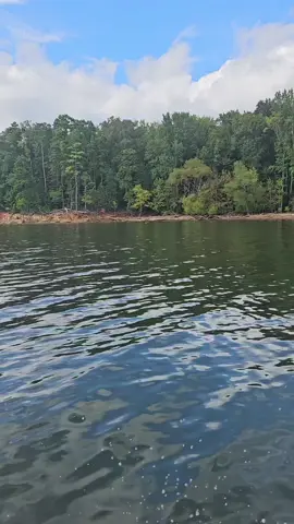 #clarksville  #kerrlake #friday #lakevibes 