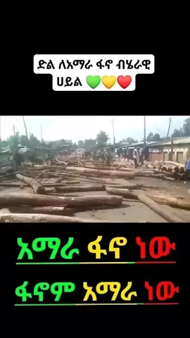 #አማራዬ💚💛❤አማራዬ💚💛❤️🐅ፋኖ❤️🐅የኔ