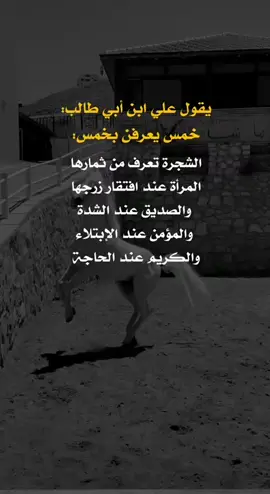 يقول علي بن أبي طالب #fyp #you #اعادة_النشر #اكسبلورexplore❥🕊 