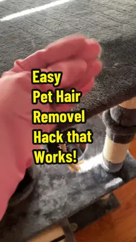 Easy pet cat dog hair removal that works! #pethair#cleaningtips#CleanTok 