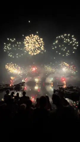 Feu d’artifesse #feudartifice #gerardmer #lac #pourtoi 
