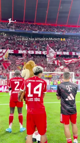 What a performance! First game. First goal. 🔥 #Bundesliga #fussball #RBL #FCB 