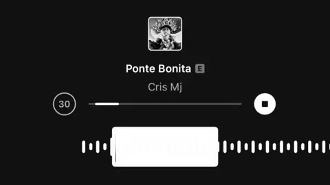 part 17 | Ponte Bonita #foryoupage #songlyrics #slowed #song 