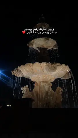 وَبسمة قَلبي ❤️.#fyp #حب #بيتونيا #دعاء #رام_الله 
