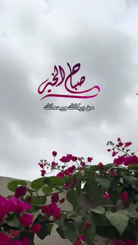 #صباحكم_معطر_بذكر_الله🍃🌹 