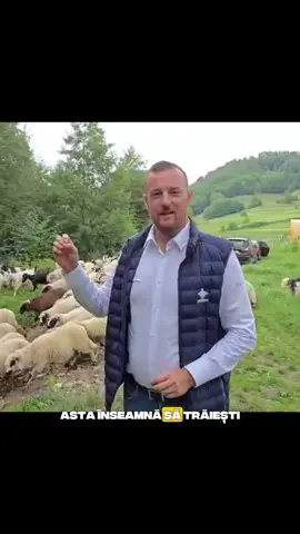 #Maramures #Respect #Fy