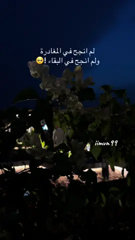 #اغاني #foryou #fpyシ #مخاوي_الليل #خالد_عبد_الرحمن 