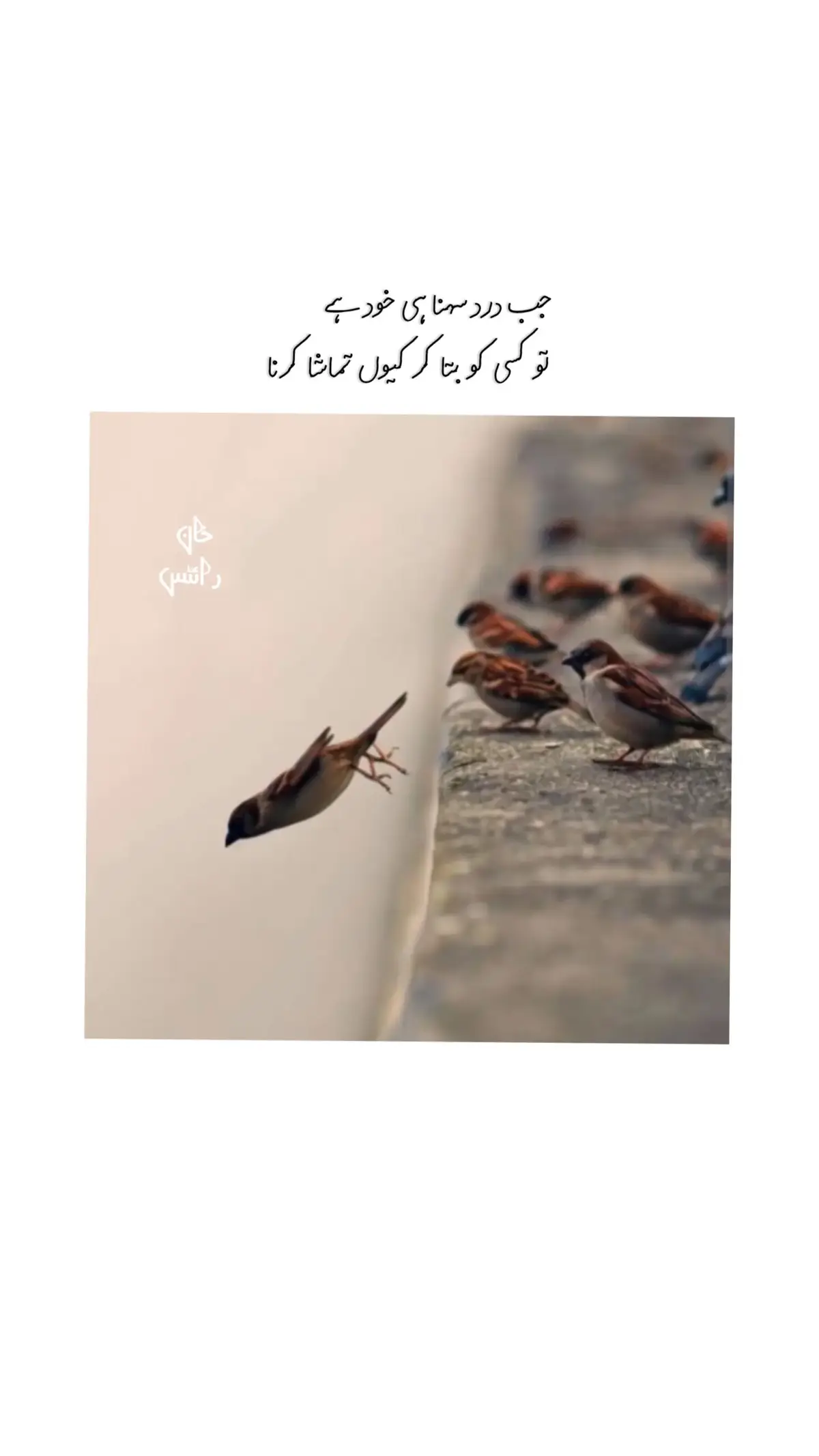 اپنوں کی آنکھوں میں غداری کی جھلک دیکھی تو احتیاط کا ہنر سیکھا جن سے محبت کی ان کی نظروں میں بے قدری اور ذلالت دیکھی تو خاموشی اختیار کرنا سیکھا، عزیز رشتے کہلانے والوں کے ہاتھوں بے وفائی اور طعنوں کا زخم کھایا تو رُخصت ہونے کا ہنر سیکھا، باقی مجھ میں اور کچھ نہیں بدلا 🥀🙂❤‍🩹 #status #poetry #poetrylover #foryoupage #khan_writesx77 