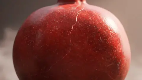 Pomegranate Place  #viral_video  #AIVideo #aiasmr 