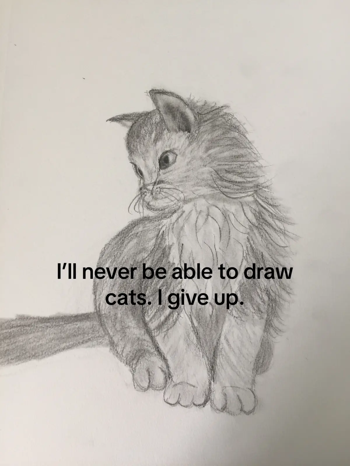#artprogress #artprogression #thenvsnow #catsoftiktok #selftaught