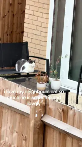 #cat 