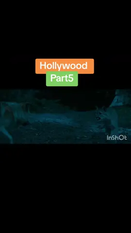 #creatorsearchinsights 