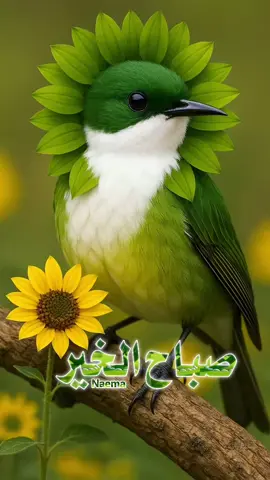 #سبحان_الله_وبحمده_سبحان_الله_العظيم 