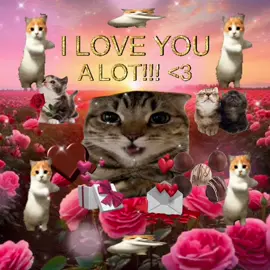 yesss! ❤️‍🩹🍫🐈 #sillycat #viralcat #catlover #sillycatsoftiktok #catsoftiktok 