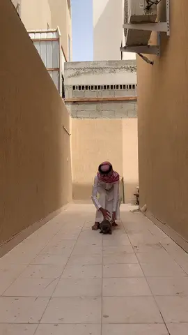 يلا نشوف يضرب زي الأجانب ولا لا… #خلع #وناسه #طقطقه #ترند #عيال_الديره 