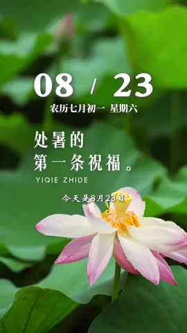 今天是8月23日，星期六，早安。处暑至，处暑的第一条祝福，想先送到你身边。愿凉风拂去疲惫，秋日带来安宁，让每一步都踏得从容。愿你藏起夏的浮躁，收获秋的明朗，往后的日子，快乐“暑”不尽，好运“暑”不完，步步皆顺意，日日有清欢…