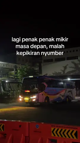 Terne nyumber 😁 #busjawatimuran #sugengrahayu #sumberselamat #sumbergroup #busjatim @Publicbarbar2 @iannociraptor. @Avolution`🐬 @al 