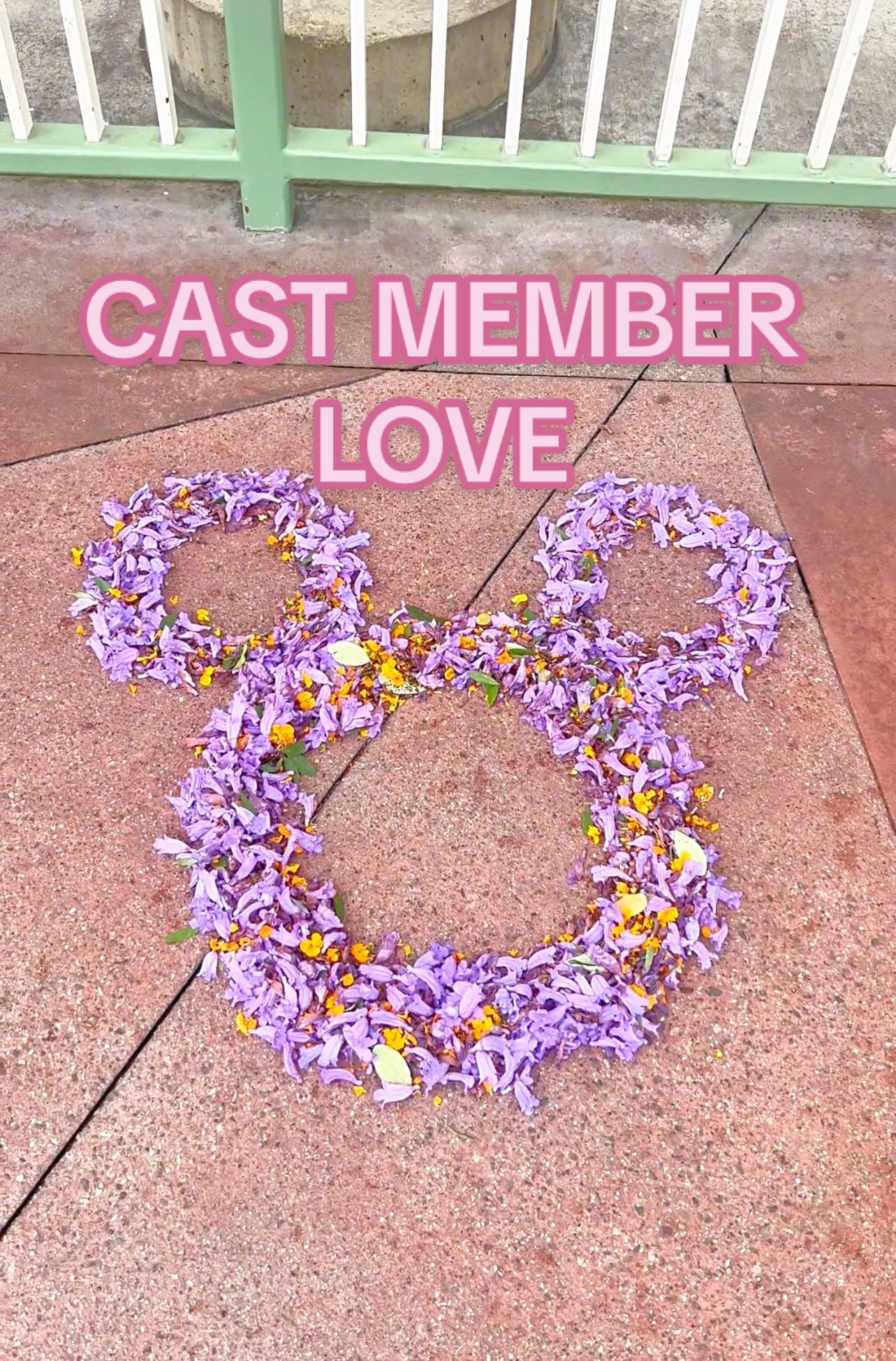 It’s the little things! 🥺❤️ I love when Disney cast members leave behind messages or artwork to make you day more magical at the Disney Parks! #disneyworld #disneyland #disneycastmember 
