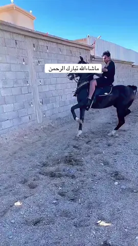 #CapCut ماشاءالله تبارك الرحمن #خيل_وخياله🐎 #خيل_عربي_اصيل #هشتاقات_تيك_توك_ #CapCut #هشتاقات_تيك_توك_ #مشاهير_تيك_توك_مشاهير_العرب #فديوهات #video #مشاهير_تيك_توك_مشاهير_العرب 