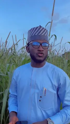 #videoviral #trendingvideo #arewa__tiktok #foryoupage #usa🇺🇸 