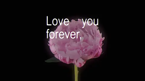 Forget-Me-Not - Laufey #forgetmenot #laufey #lyrics_songs #fyp #amatteroftime 