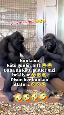 #tıktok #keşfett 😁😁😁