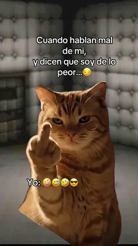 #Meme #MemeCut 