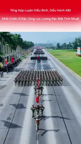 Diễu binh, duyệt binh kỷ niệm 80 năm ngày quốc khánh 2/9 A80 #a80 #29 #quockhanh2025 #dieubinh #duyetbinh 