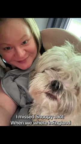 This is how much I missed the dog and I’m sick 🤦‍♀️ #sick #snuggling #snoopy #lhasaapsolove #gorgeous by @Taylor Swift  Been in bed sick since we  Got home ~ so snuggling with  Snoopy waiting for @GPSparty to bring home Dinner and @Bath & Body Works 