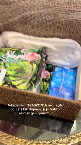 Böyle şerlerin normaleşmesi çok güzelllll .
