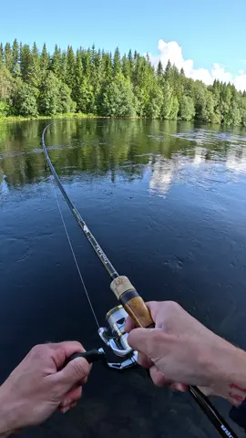 DUO Spearhead Ryuki S Solan Ghost #trout #browntrout #troutfishing #foruyou 