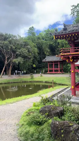 Song for the Iconic Place 🌺 #reels #dailyvlog #foryou #creatorsearchinsights #hawaii 