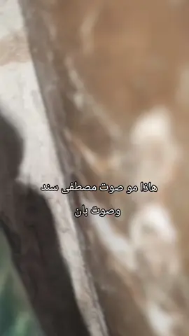 صوت الدكتوره بان