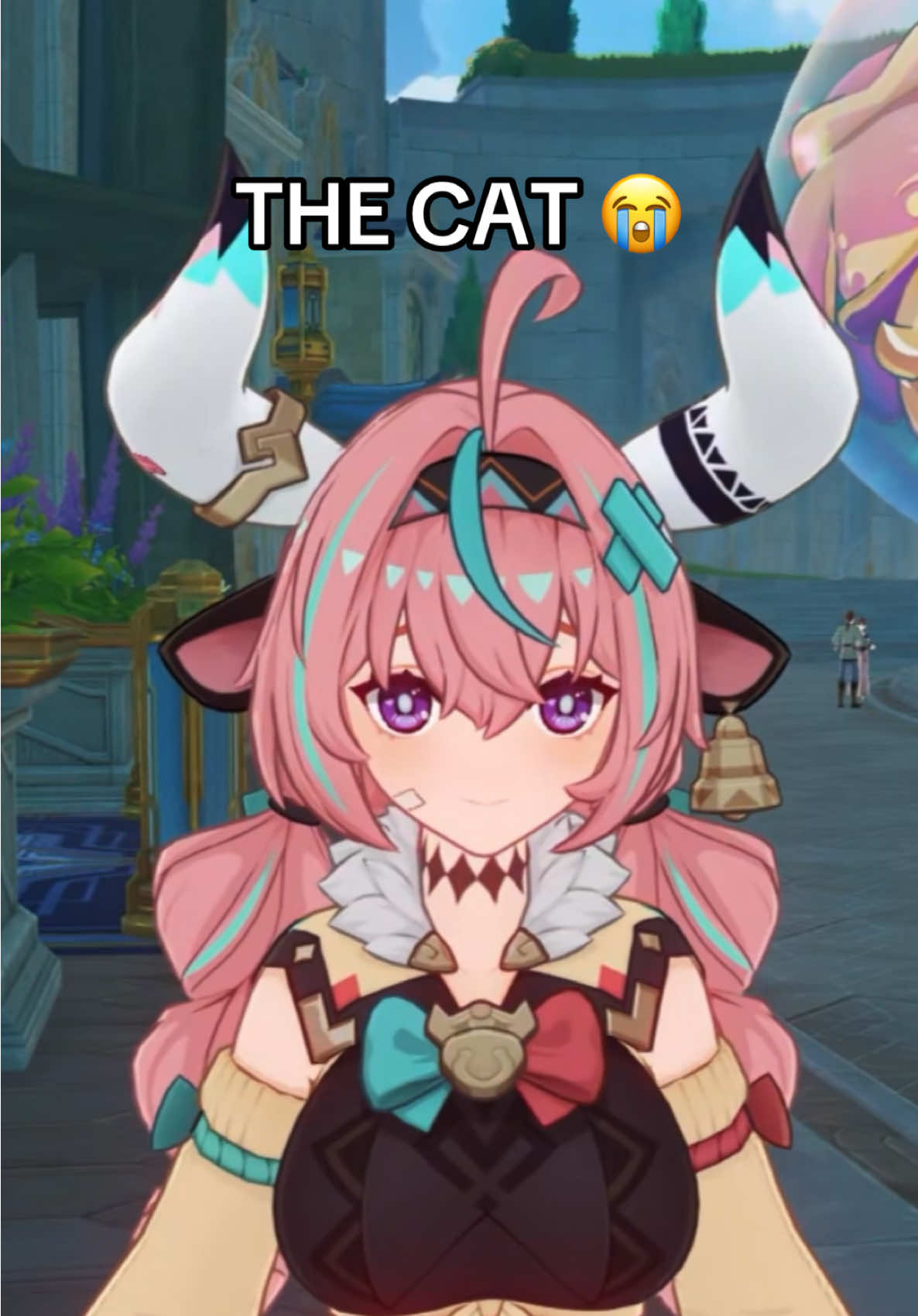 The cat 😭 #genshin #meme #GenshinImpact #varesa 