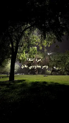 مره اشلآ ومر يعاودني بلآي . #نجران #سعد_ابن_جدلان #غابة_سقام #اكسبلورexplore 