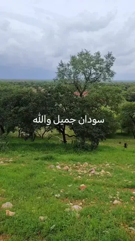 امانه م جو لأكن الله بصلحا 