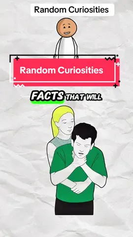 Random curiosities #randomcuriosities #randomfacts #randomthings #animation 