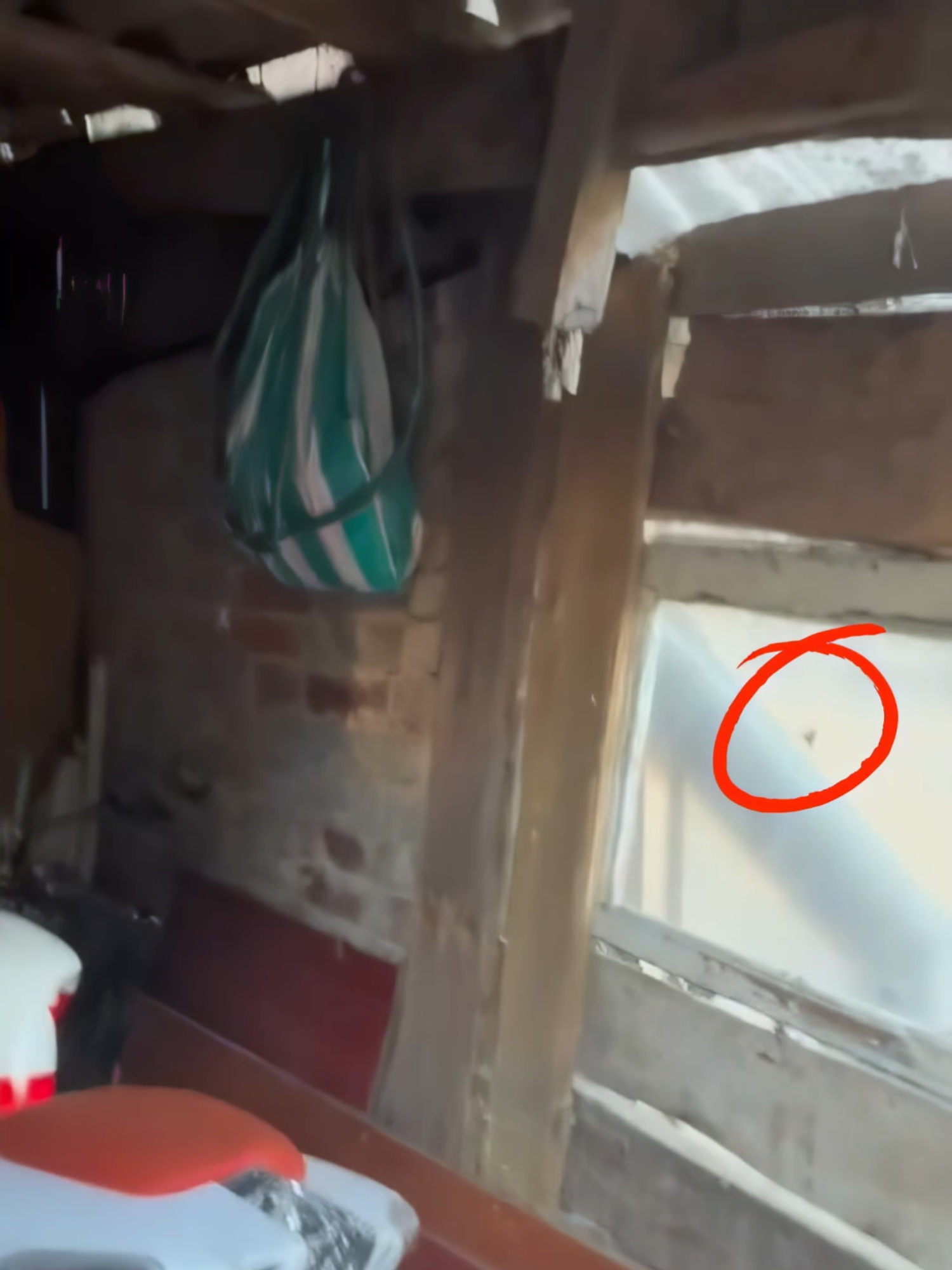 Giant #Spider Blocks Garage! 🕷️