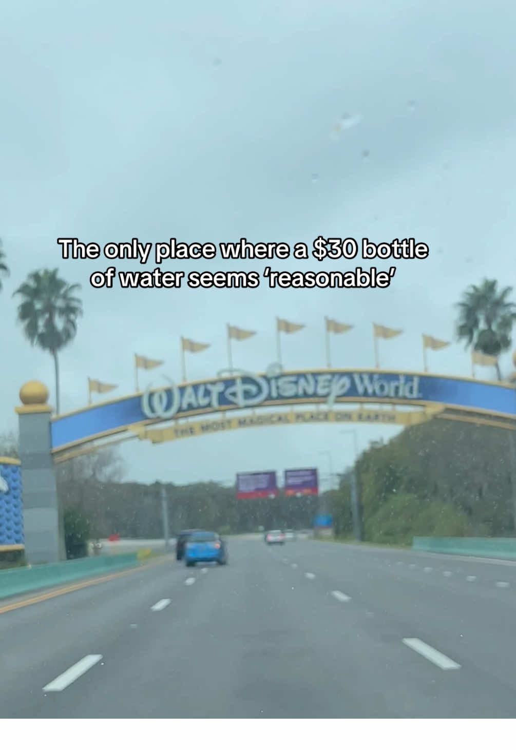 Happiest place on Earth….for Visa and Mastercard 😅😅 But we love it 🥰🏰